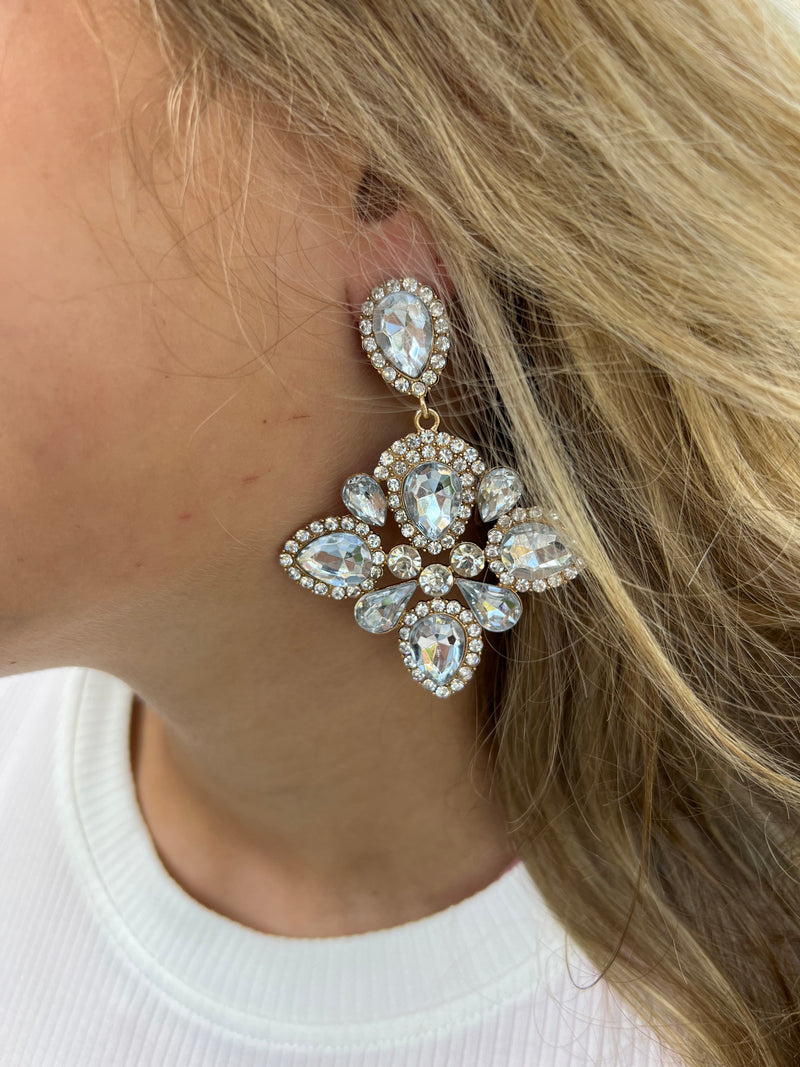 Silver Jewel Statement Earrings